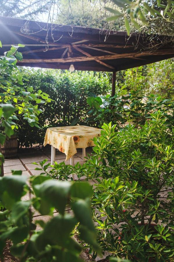 Case Vacanza Podere Risoino Poggibonsi Ngoại thất bức ảnh